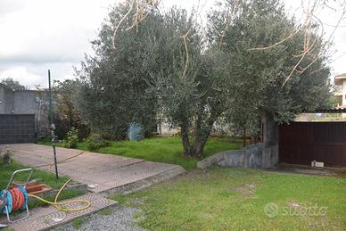 Vendita Appartamento