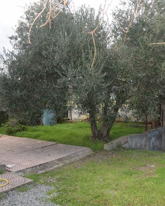 Vendita Appartamento