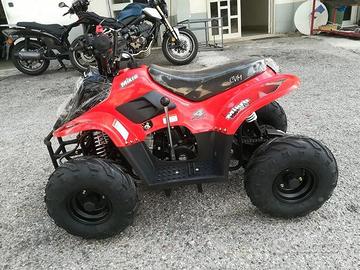 Ricambi per mini quad 110 nuovi