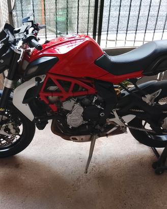 MV Augusta Brutale 800