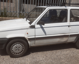 Fiat panda young