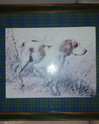 Stampa con cane