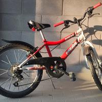 MTB Ragazzo 20 pollici