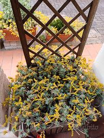 Fioriera quadrata in legno con grigliato verticale