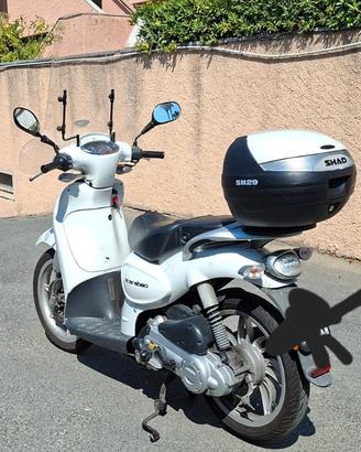scarabeo 50 cc 