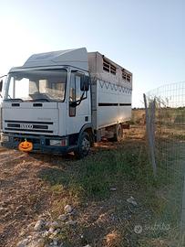 Iveco 75&15