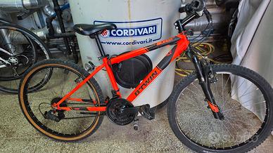 Mountain Bike 24