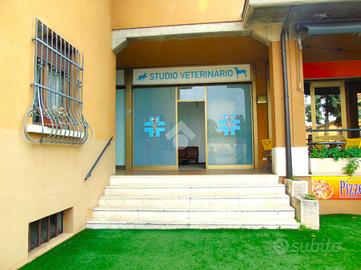 NEGOZIO A BAGNOLO MELLA