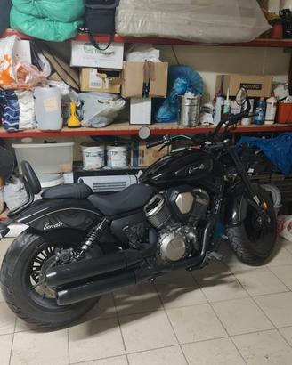 BENDA CHINCHILLA 500