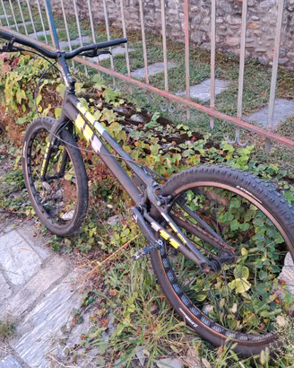 Bici trial