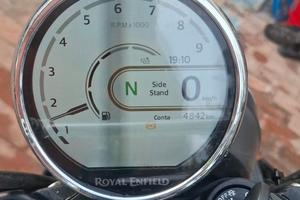 moto Roual Einfield Bear 650 