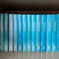 Riviste nuova elettronica