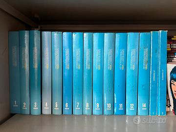 Riviste nuova elettronica