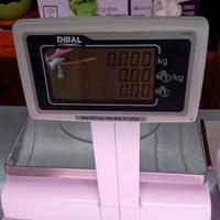 Bilancia elettronica 