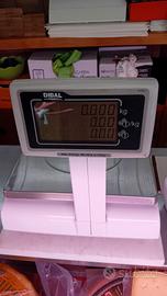 Bilancia elettronica 