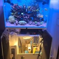 Acquari marino 70x50x50