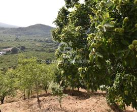 Terreno agricolo - Linguaglossa