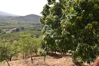 Terreno agricolo - Linguaglossa