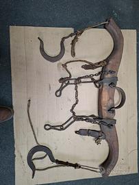 giogo la doma dogo x bovini