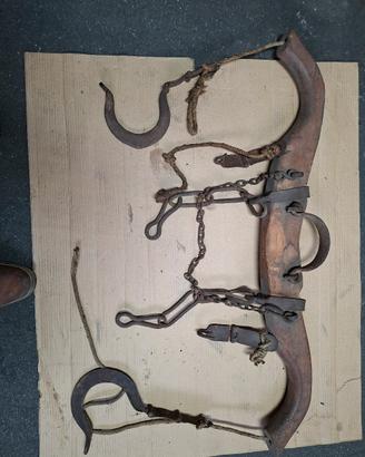 giogo la doma dogo x bovini