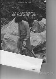 LA COLTIVAZIONE DEI MARMI APUANI