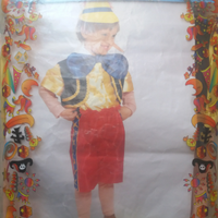 Vestito di carnevale pinocchio