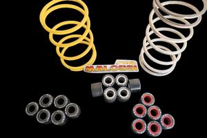 Rulli HTRoll 19x15,5 e Molle di contrasto Malossi