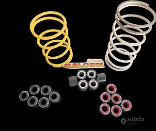 Rulli HTRoll 19x15,5 e Molle di contrasto Malossi