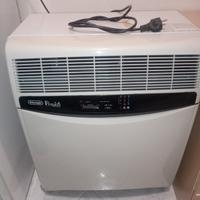 climatizzatore pinguino