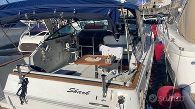 Sea Ray 300