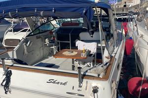 Sea Ray 300