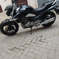 Suzuki Inazuma 250 Come nuova -Solo 15000 km