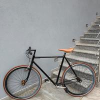 Bicicletta vintage
