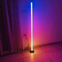 Lampada da terra LED RGB intelligente