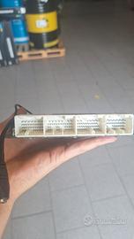 centralina motec M800 plug-in