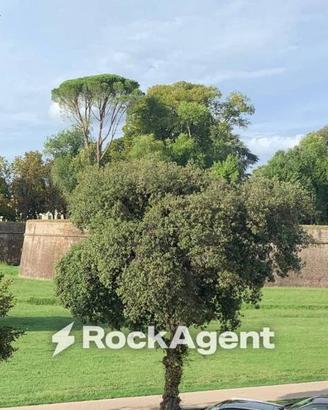 Appartamento di 82 m² con 4 locali a Lucca