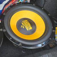 subwoofer auto x ion 12 plus 750w rms audio system