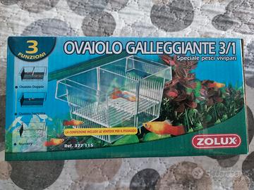 Ovaiolo per pesci vivipari Zolux