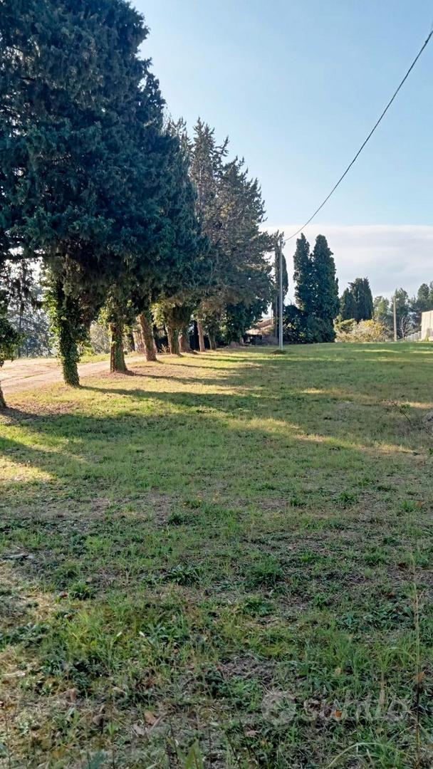 Terreno Edificabile a Treia: 5.000 mq pianeggianti - Vista 3