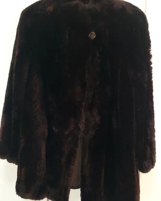 Pelliccia di Castoro 