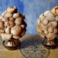 Soprammobile con conchiglie