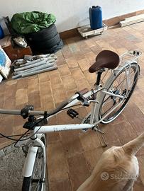 bicicletta da passeggio