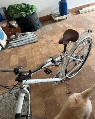 bicicletta da passeggio
