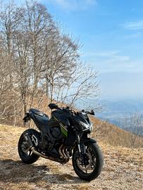 Kawasaki z800 PERFETTA