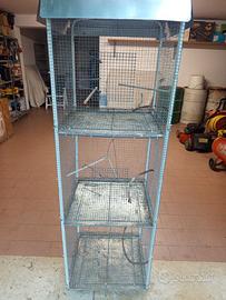 Gabbia tre vani uccelli