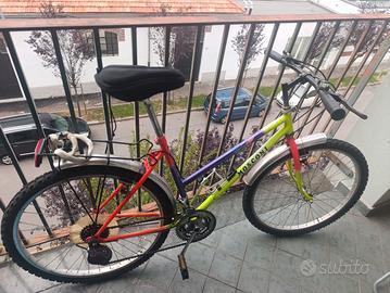 bicicletta funzionante