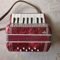 Fisarmonica giocattolo vintage anni 60