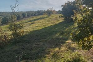 Terreno agricolo