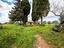 Immagine 30