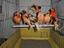 Immagine 6